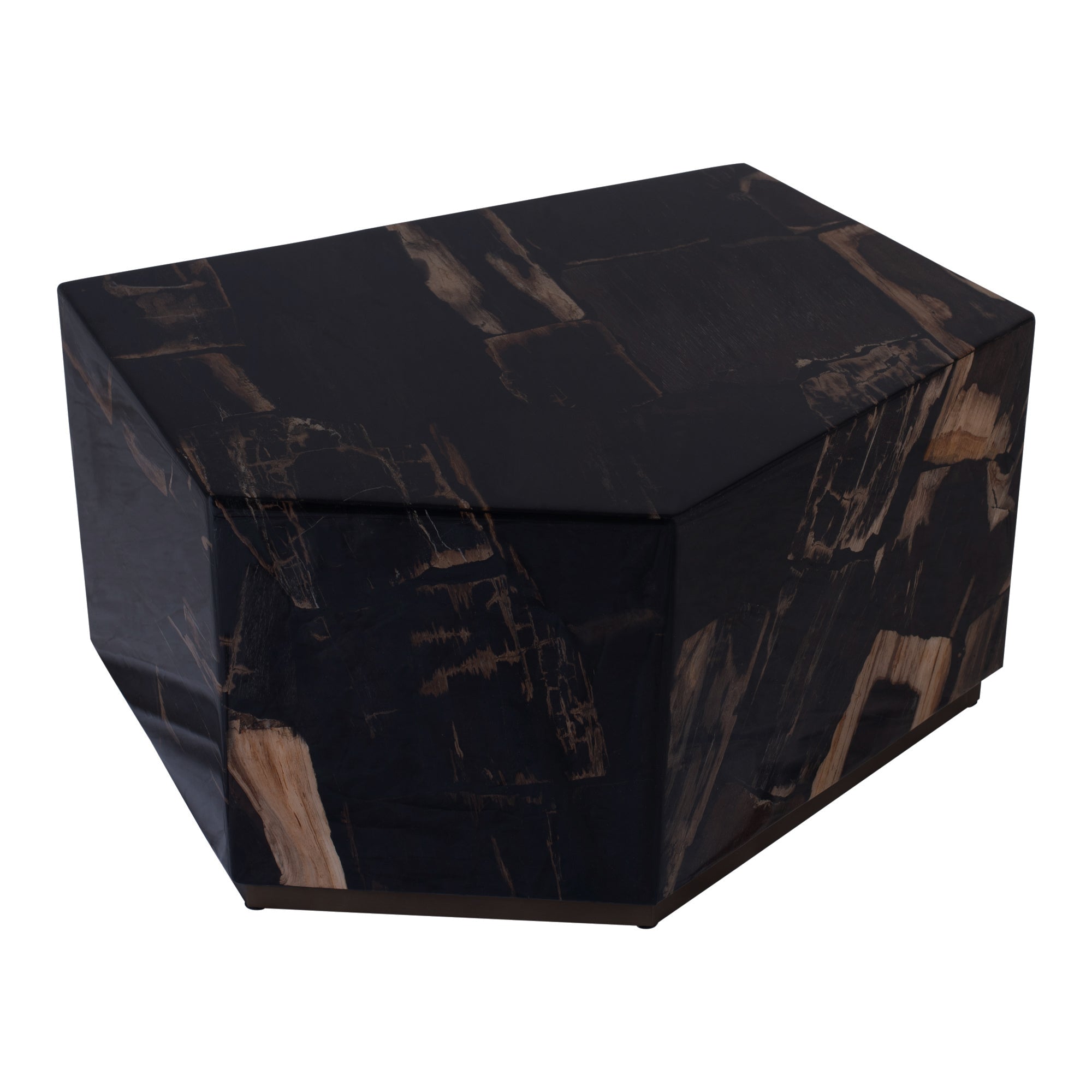 Rayn Petrified Wood Black Coffeetable M