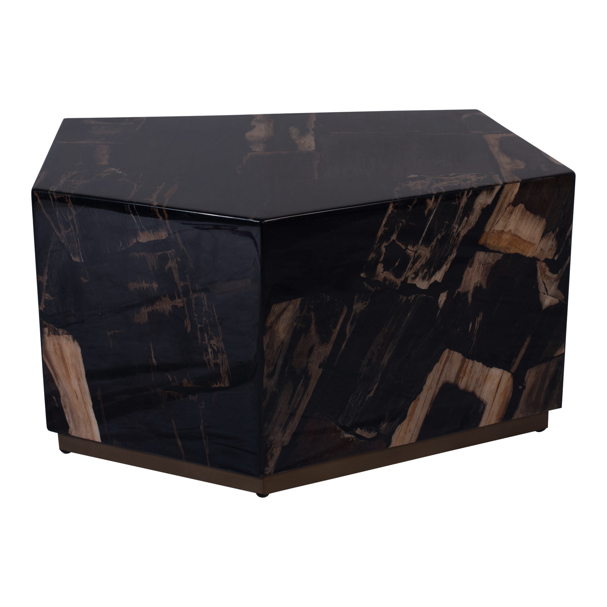 Rayn Petrified Wood Black Coffeetable M