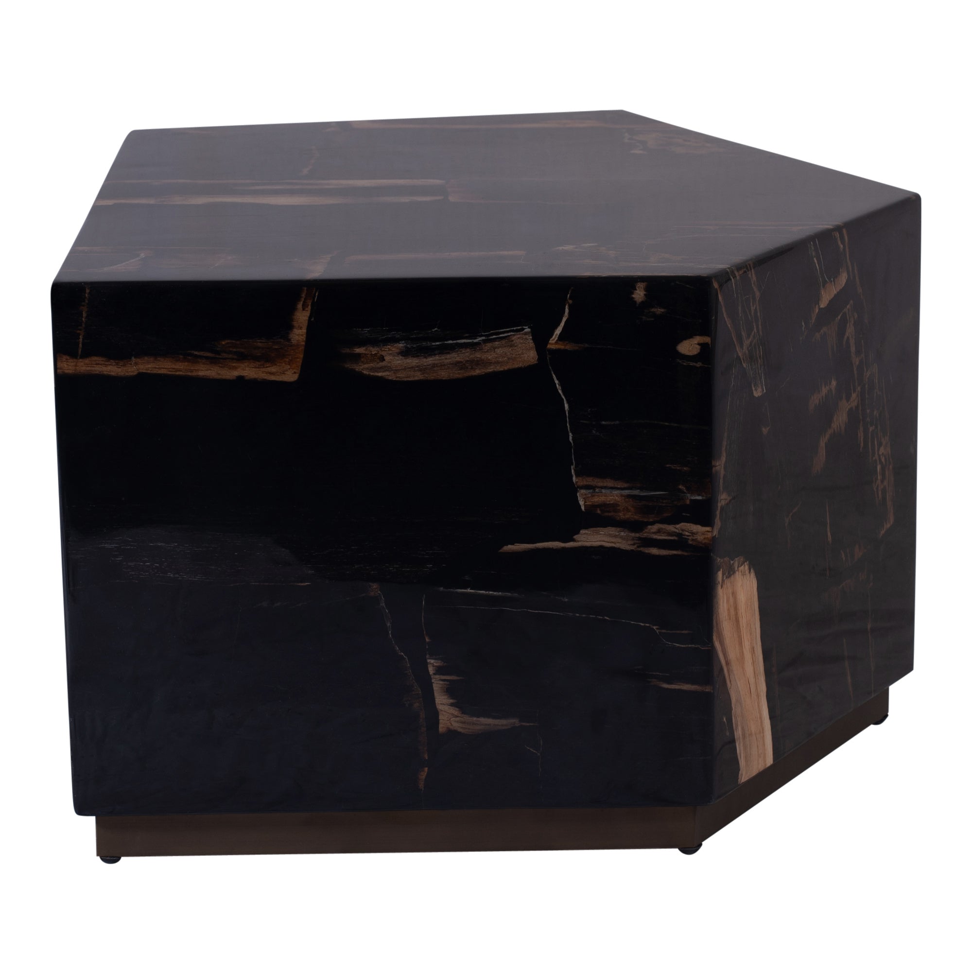 Rayn Petrified Wood Black Coffeetable M
