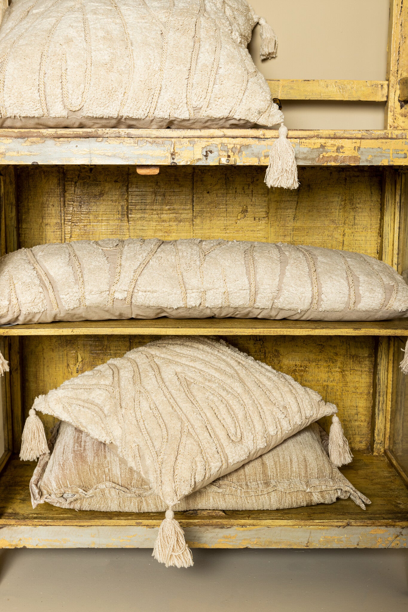 Senny Beige Velvet Cushion Ruffle Rim Rectangle (set of 2)