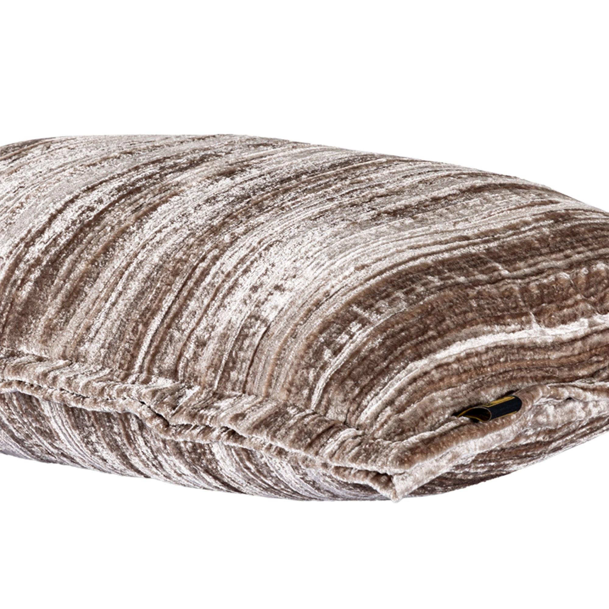 Senny Beige Velvet Cushion Ruffle Rim Rectangle (set of 2)