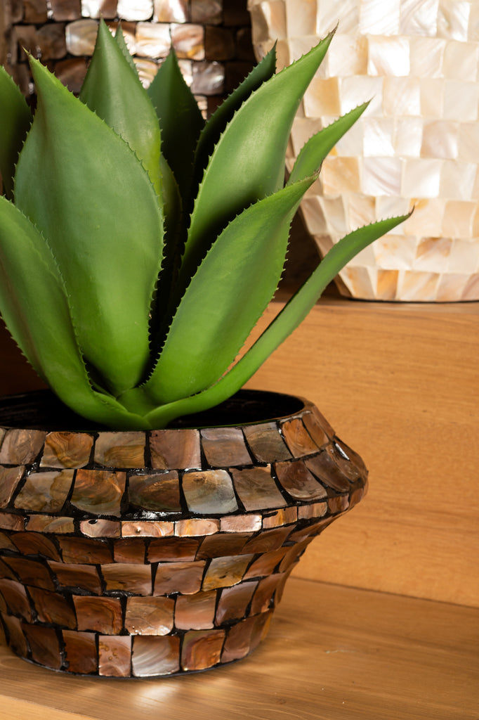 Chelsae Bronze schelpen spiegel S