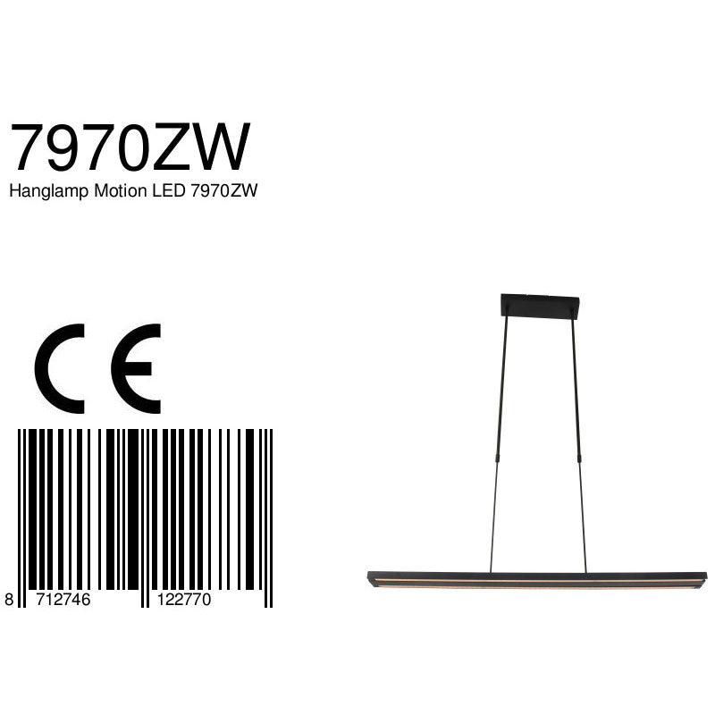 Hanglamp Motion in Zwart