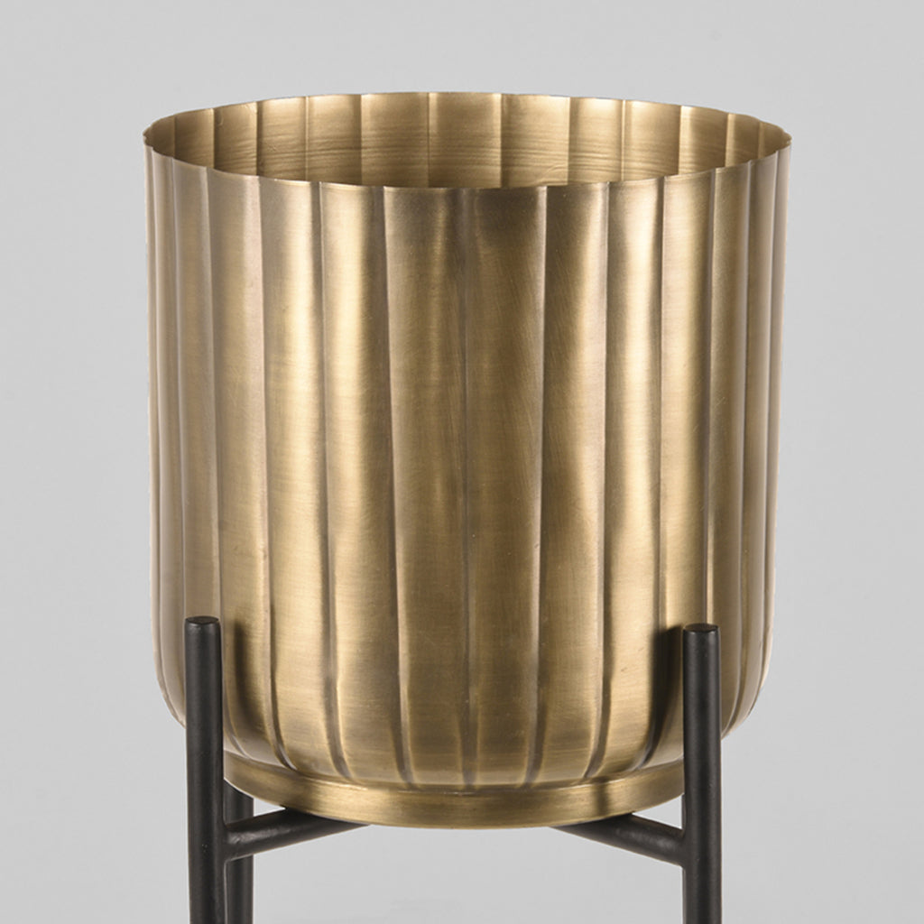 Plantenstandaards - Antiek goud